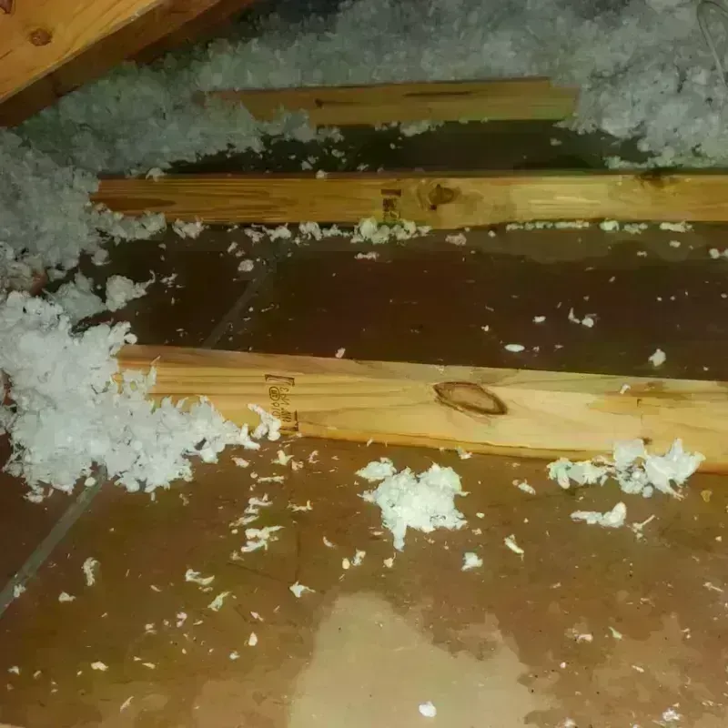 Attic Water Damage in Erwin, NC