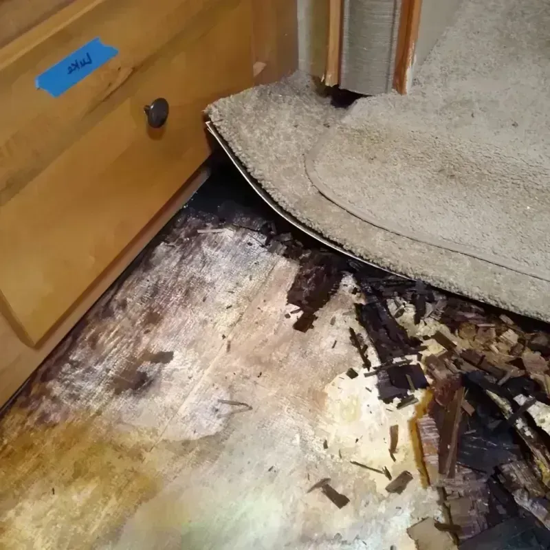 Wood Floor Water Damage in Erwin, NC